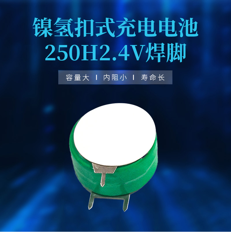 250H2.4V带脚镍氢电池海报