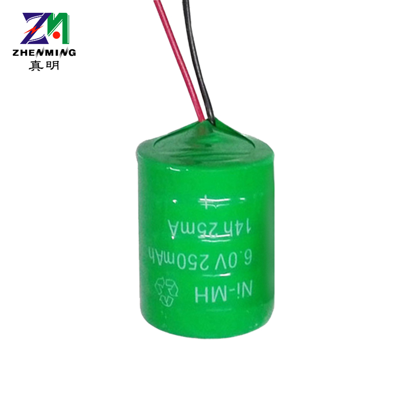 250H6V镍氢纽扣充电电池