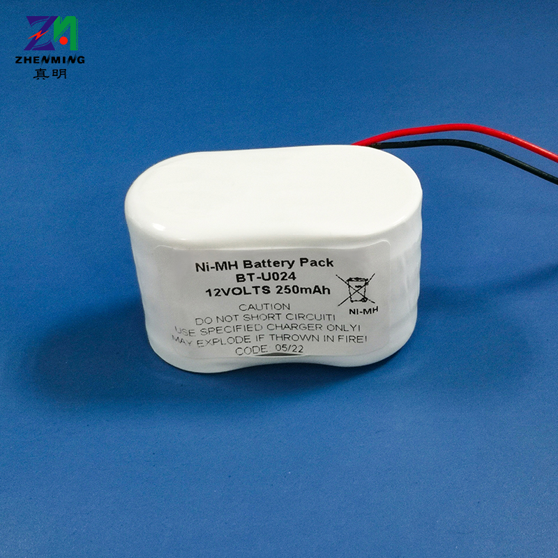 250H12V镍氢扣式充电电池